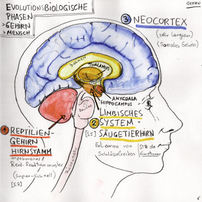 Graphic Recording Michaela Nutz Illustration