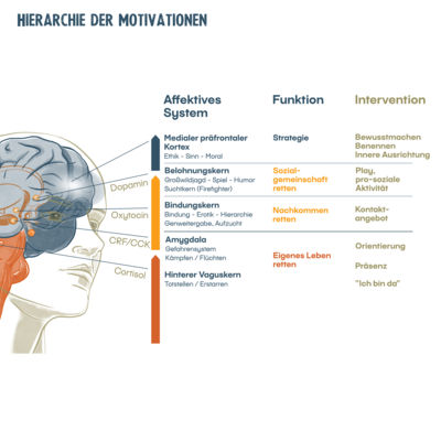 Infografik Michaela Nutz Illustration